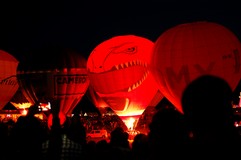 Balloon Fiesta 14